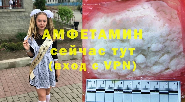 индика Михайлов