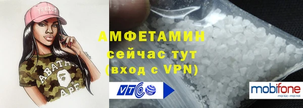индика Михайлов