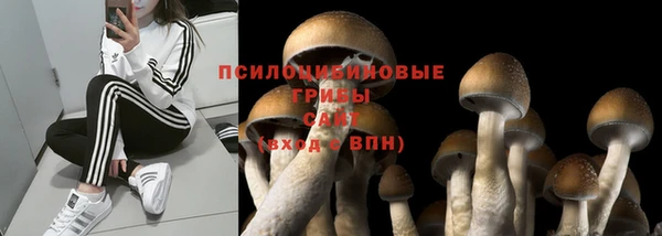 индика Михайлов