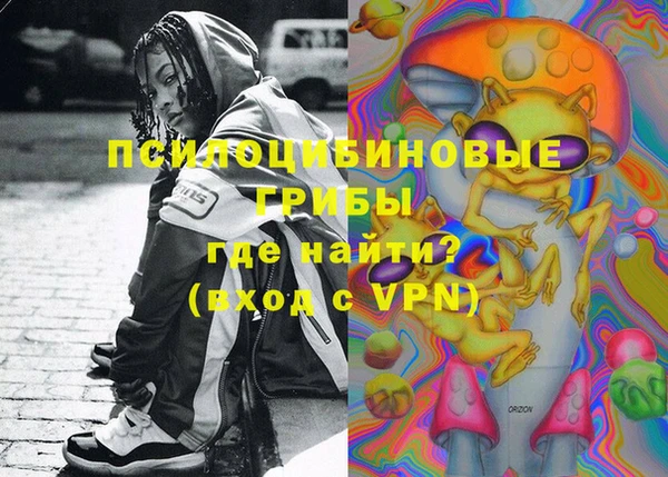 индика Михайлов