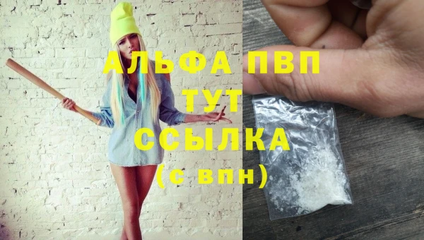 индика Михайлов