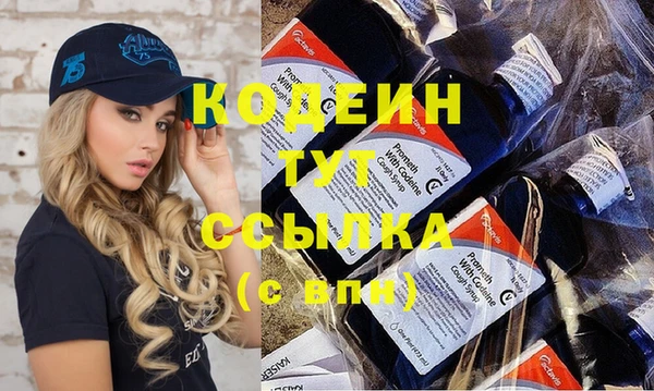 индика Михайлов