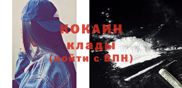 индика Михайлов