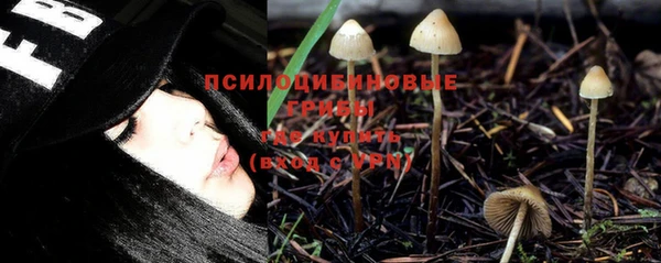 индика Михайлов
