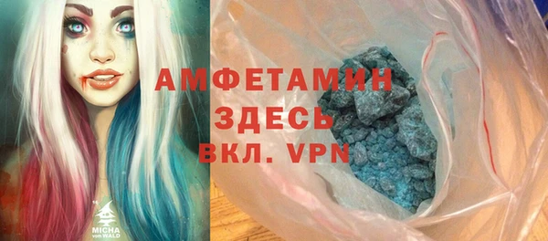 индика Медвежьегорск