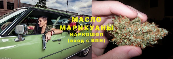 индика Михайлов