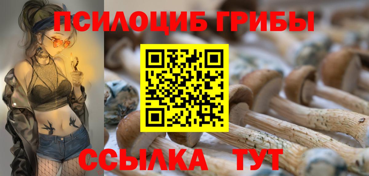 Галлюциногенные грибы GOLDEN TEACHER  Вход с VPN  Галлюциногенные грибы GOLDEN TEACHER  Скопин 